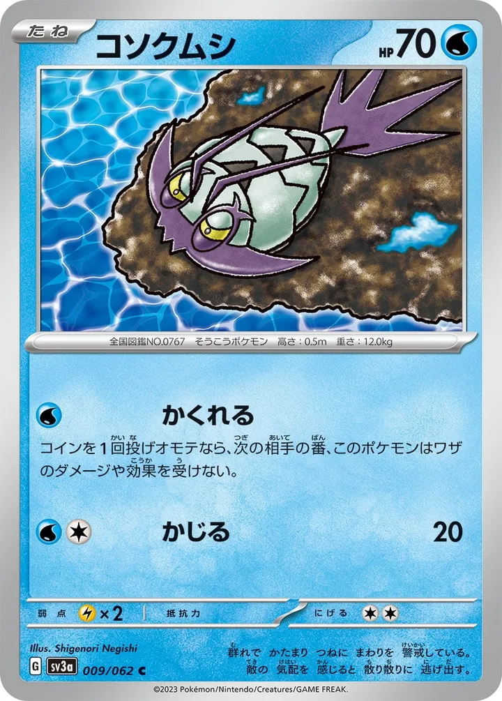 Front of Wimpod 9, レイジングサーフ Japanese