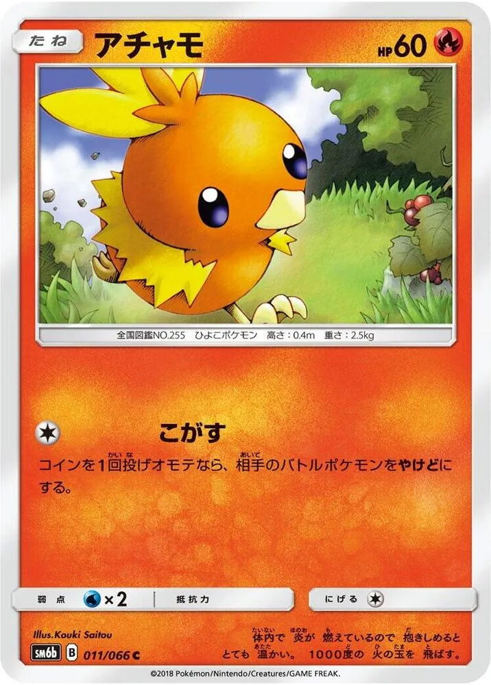 Front of Torchic 11, チャンピオンロード Japanese