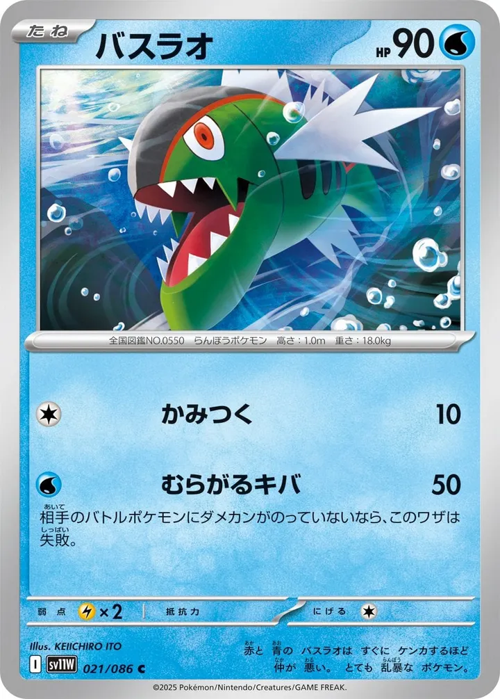 Front of Basculin 21, ホワイトフレア Japanese