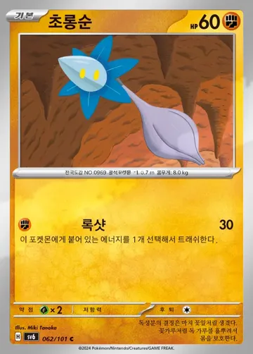 초롱순 62 ₩300