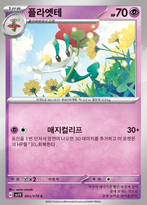 바이올렛 ex 韓国語版 플라엣테 43 カード表面