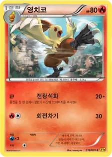 영치코