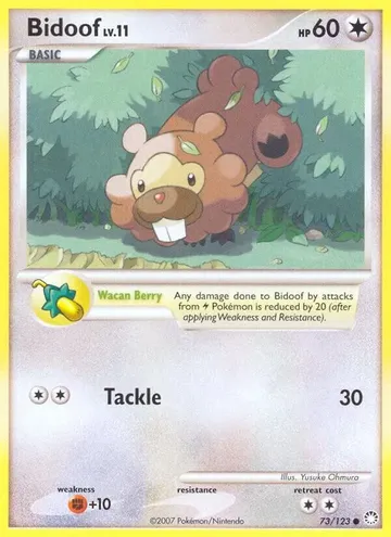 Bidoof 73 ₩898