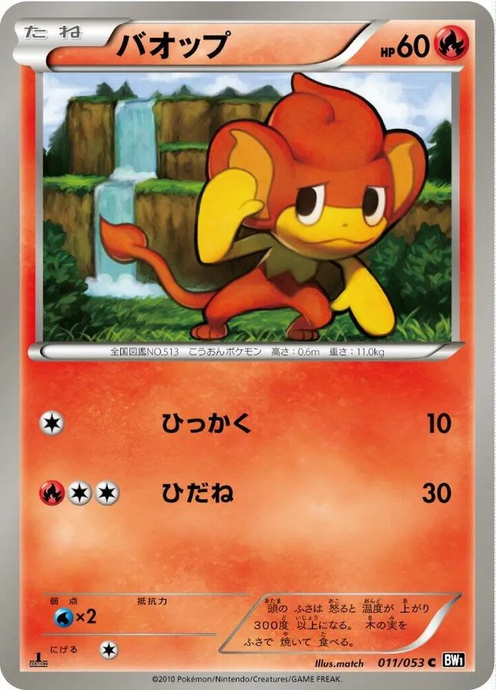 Front of Pansear 11, ブラックコレクション Japanese