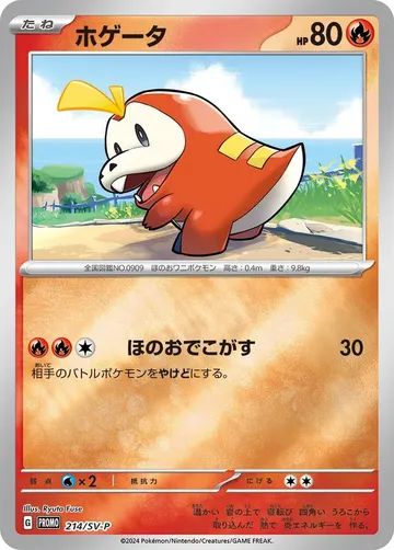 ホゲータ 214 ₩3,887