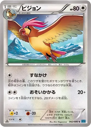 ピジョン 62 ¥245