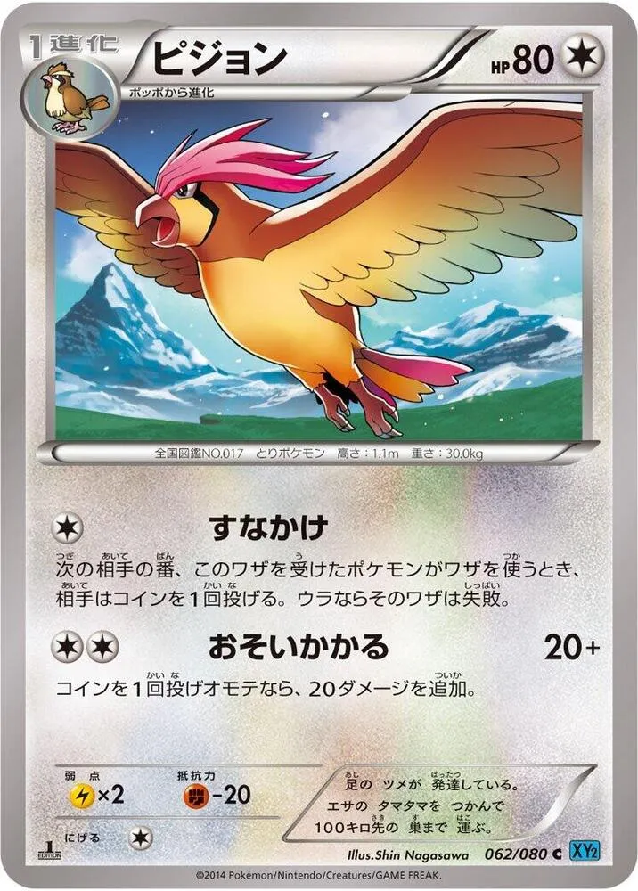 ワイルドブレイズ 일본판 ピジョン 62 카드 앞면
