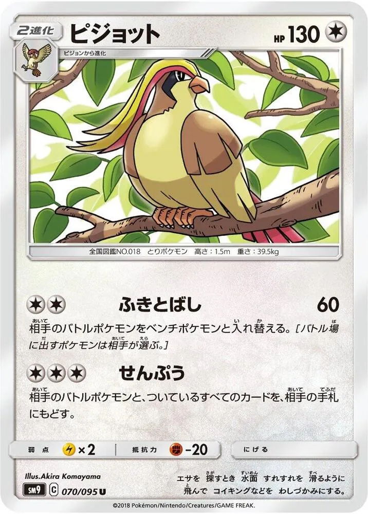 Front of Pidgeot 70, タッグボルト Japanese
