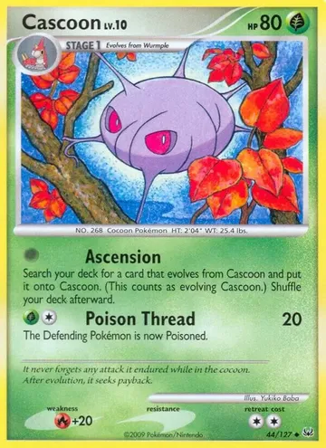 Cascoon 44 ₩1,300