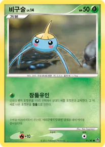비구술