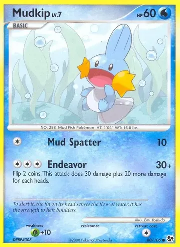 Mudkip 80 ¥1,992