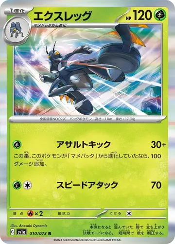 エクスレッグ 10 ¥36