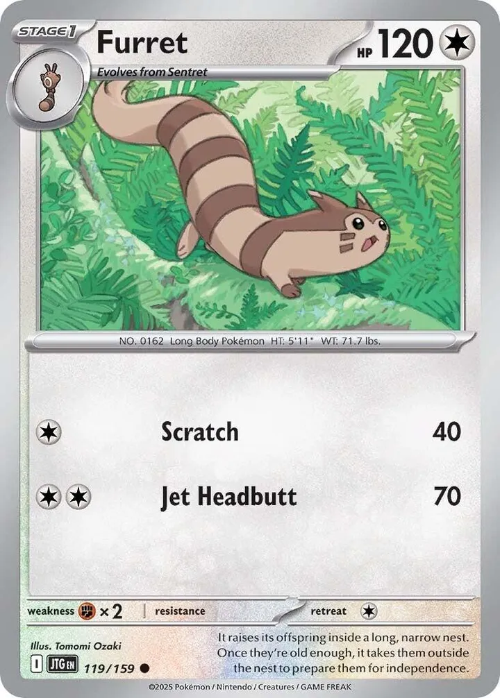 Scarlet & Violet—Journey Together 英語版 Furret 119 カード表面
