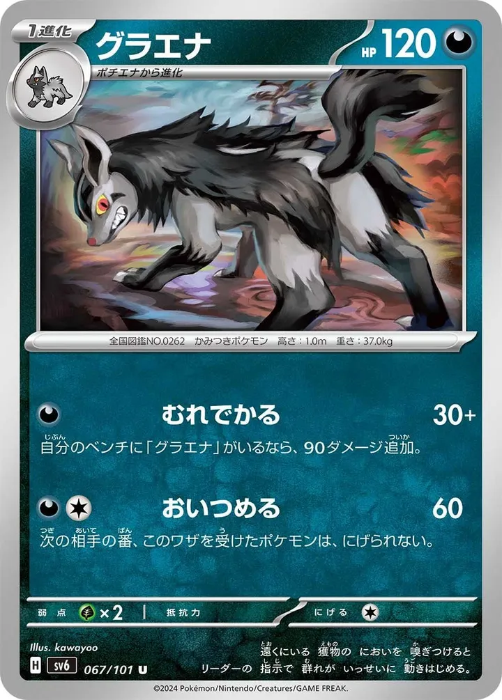 Front of Mightyena 67, 変幻の仮面 Japanese
