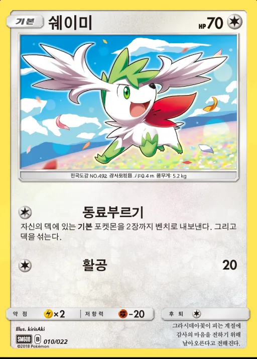 Front of 쉐이미 10, 썬&문 전격 스타터 세트「라이코 GX」 Korean