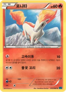 Front of 포니타 12, 와일드 블레이즈 Korean