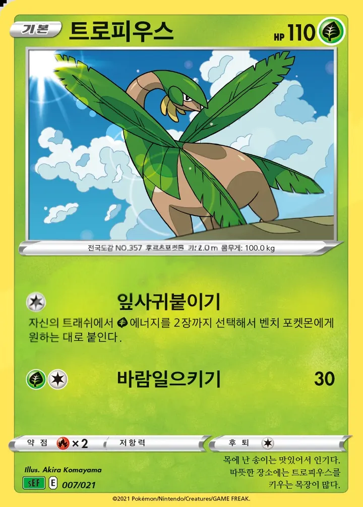 소드&실드 스타터 세트 VMAX 「이상해꽃」 韓国語版 Tropius 7 カード表面