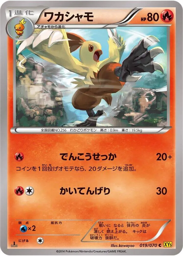 Front of Combusken 19, ガイアボルケーノ Japanese