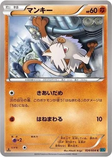 マンキー 24 ₩1,676