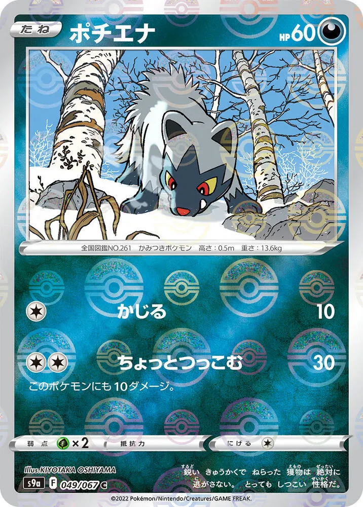 Front of Poochyena (Poke Ball Pattern) 49, バトルリージョン Japanese