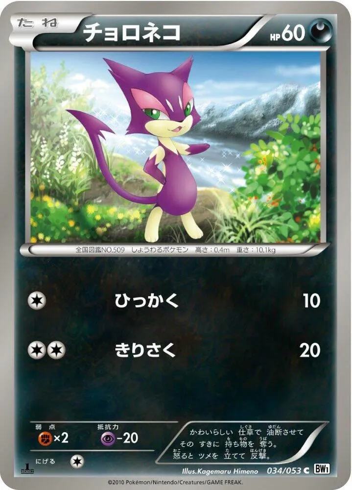 Front of Purrloin 34, ホワイトコレクション Japanese