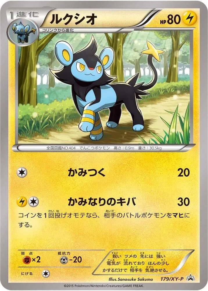 Front of Luxio 179, XY-Pプロモーションカード Japanese