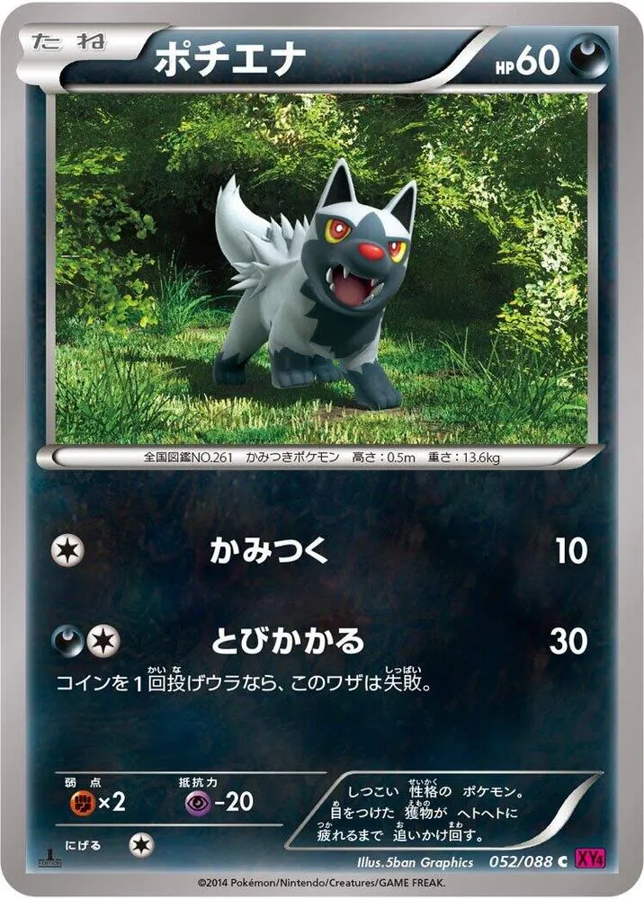Front of Poochyena 52, ファントムゲート Japanese