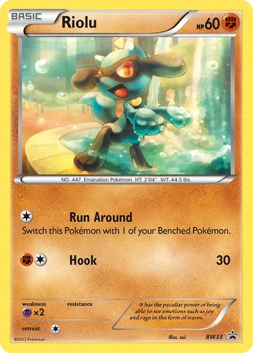 Riolu BW33 ₩45,214