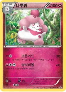 XY 프로모 카드 韓国語版 나루림 23 カード表面