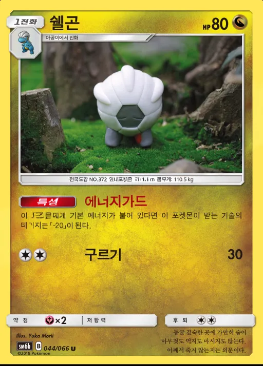 챔피언로드 한국판 쉘곤 44 카드 앞면