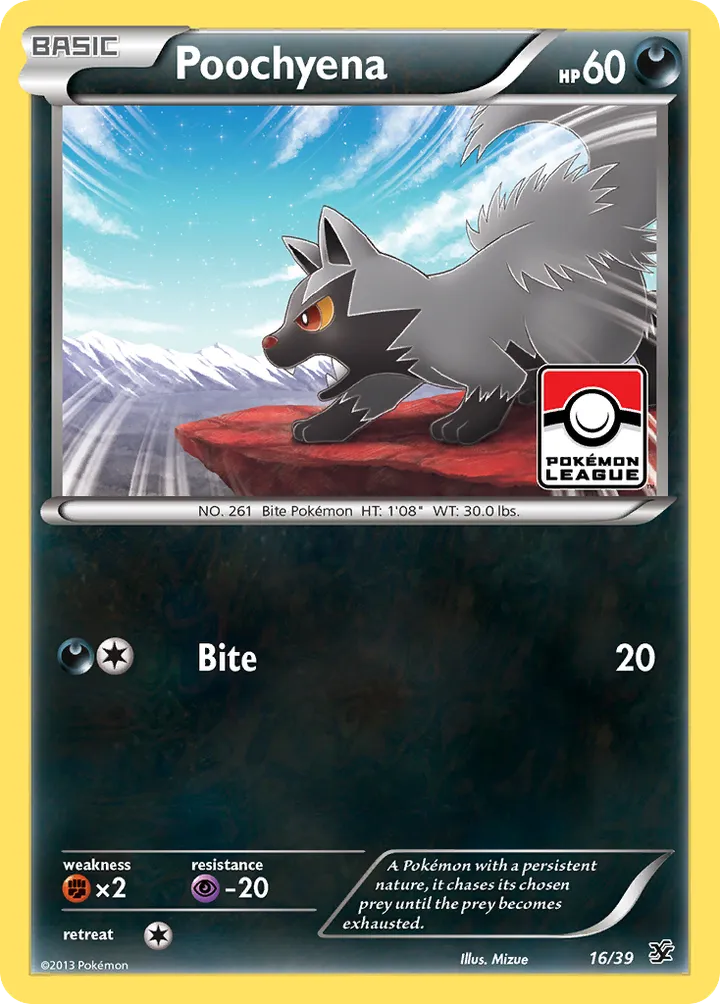 Kalos Starter Set 英語版 Poochyena 16 カード表面