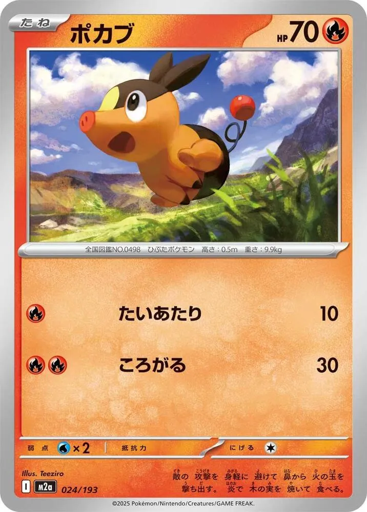 Front of Tepig 24, MEGAドリームex Japanese