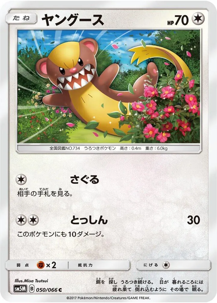 Front of Yungoos 50, ウルトラムーン Japanese
