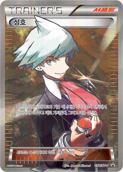 XY 프로모 카드 韓国語版 성호 58 カード表面