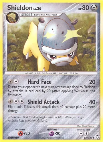 Shieldon 63 ₩563