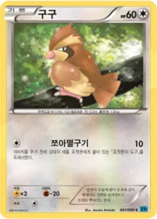 Front of 구구 61, 와일드 블레이즈 Korean