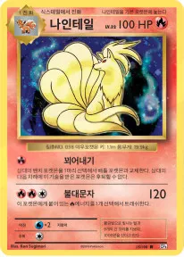 나인테일