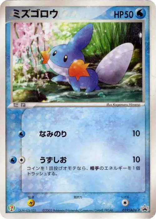 Front of Mudkip 19, ADV-Pプロモーションカード Japanese