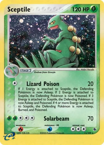Sceptile 11 ₩132,371