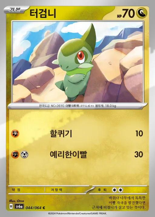Front of 터검니 44, 나이트원더러 Korean