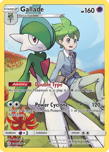 Gallade 244 ₩15,442