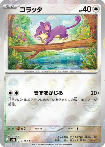 コラッタ 19 ₩8,486