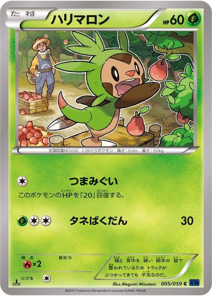 Front of Chespin 5, 青い衝撃 Japanese