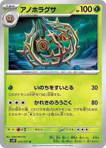 アノホラグサ 12 ₩107