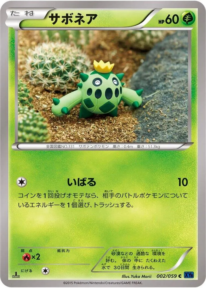 Front of Cacnea 2, 青い衝撃 Japanese