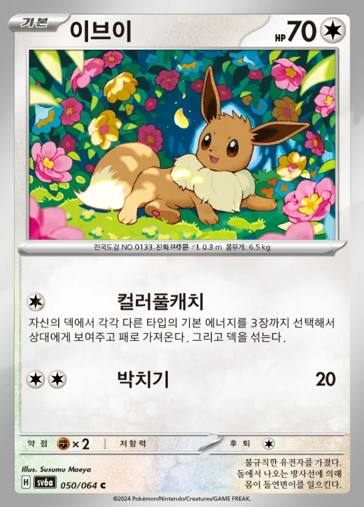 나이트원더러 韓国語版 이브이 50 カード表面