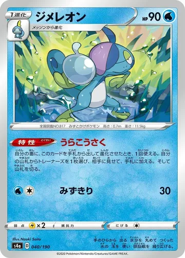 ジメレオン 40 ₩201