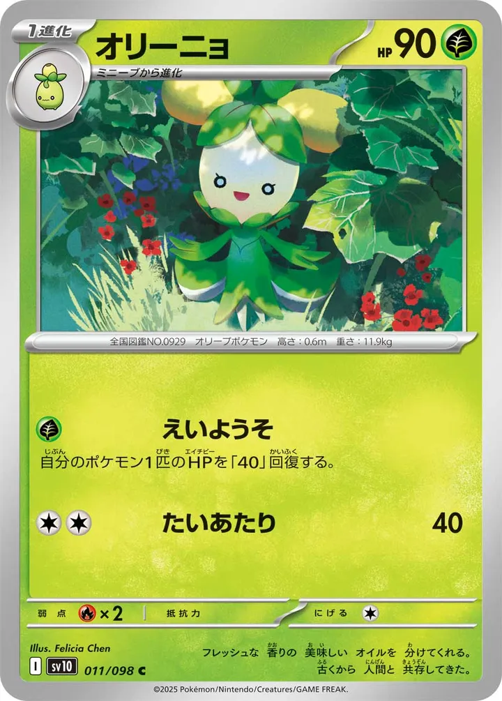 Front of Dolliv 11, ロケット団の栄光 Japanese