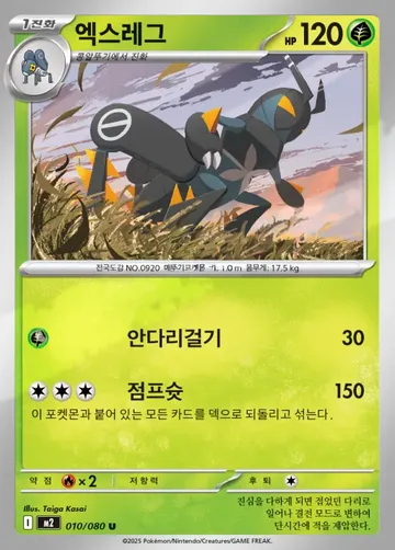 엑스레그 10 ¥59