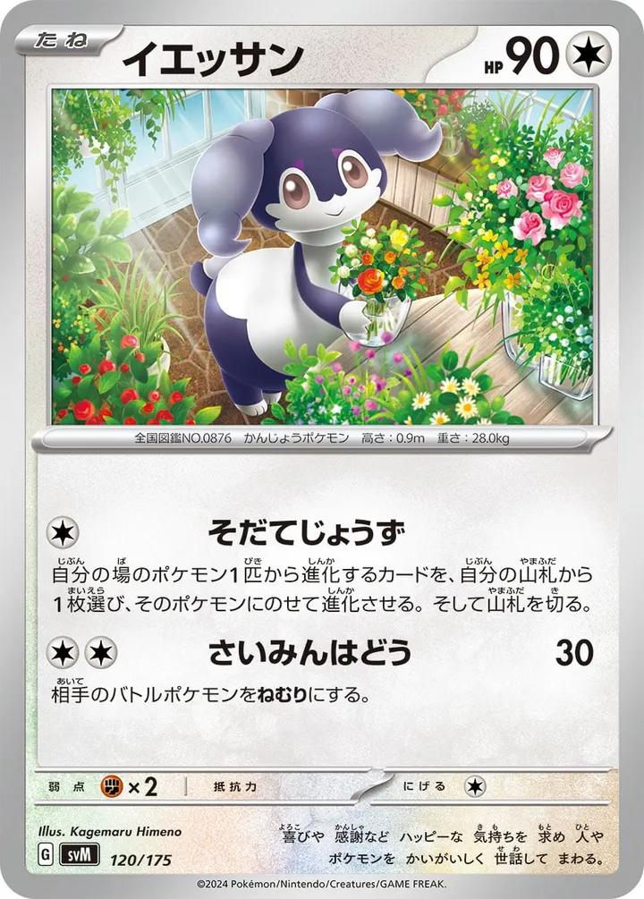 Front of Indeedee 120, スタートデッキGenerations(ピカチュウex・カビゴンex/ルギアex・バンギラスex/カイオーガex・バシャーモex/ディアルガex・ルカリオex/レシラムex・モロバレルex/ゼルネアスex・オンバーンex/カプ・コケコex・ミミッキュex/ザシアンex・マホイップex/コライドンex・パルデアドオーex、全9種) Japanese